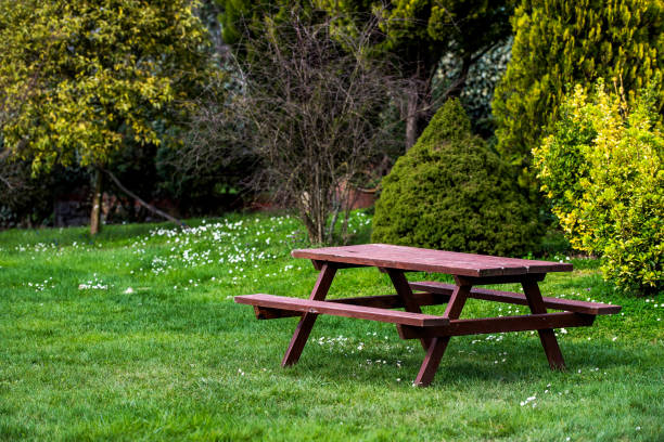 istock Wooden picnic table and bench in garden 941538286