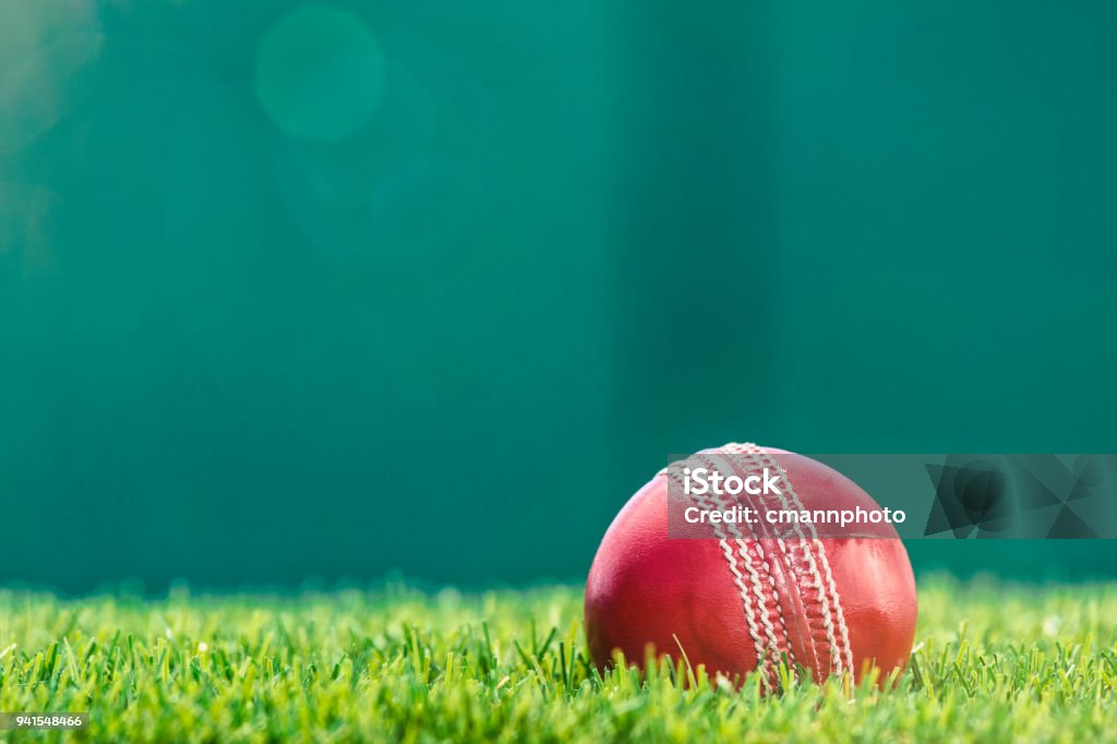 Une balle de Cricket assis dans l’herbe sous le soleil de l’après-midi - Photo de Cricket libre de droits