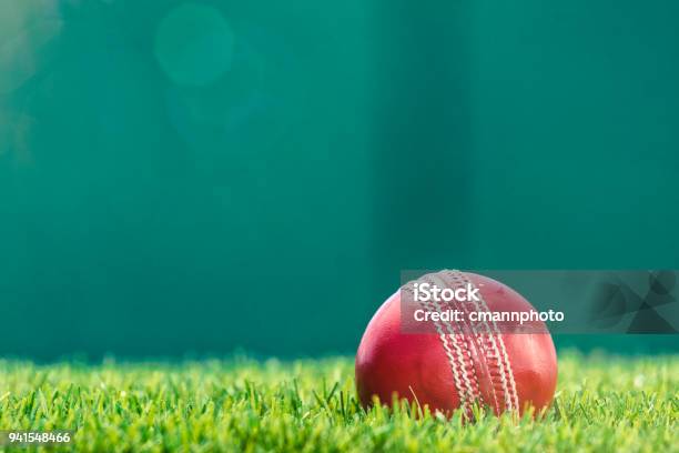 Photo libre de droit de Une Balle De Cricket Assis Dans Lherbe Sous Le Soleil De Laprèsmidi banque d'images et plus d'images libres de droit de Cricket