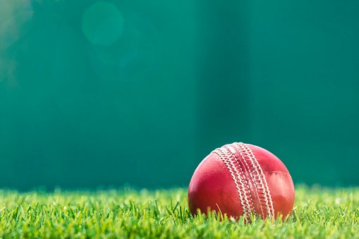 A red Cricket Ball sitting in the grass of a stadium with a green wall in the background and the afternoon sun shining down.