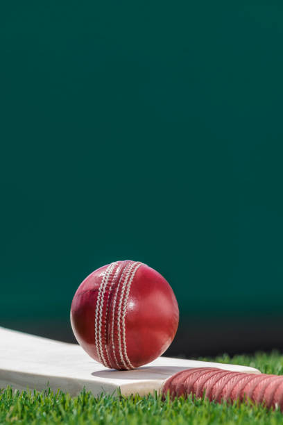 una pelota de cricket sentado en un palo en la hierba - wooden bat fotografías e imágenes de stock