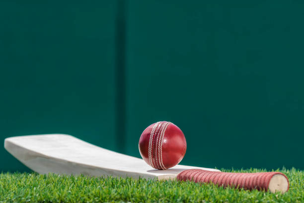 istock A Cricket ball sitting on a bat in the grass 941548540