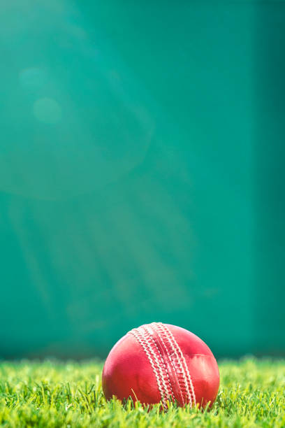 A red Cricket Ball sitting in the grass of a stadium with a green wall in the background and the afternoon sun shining down.