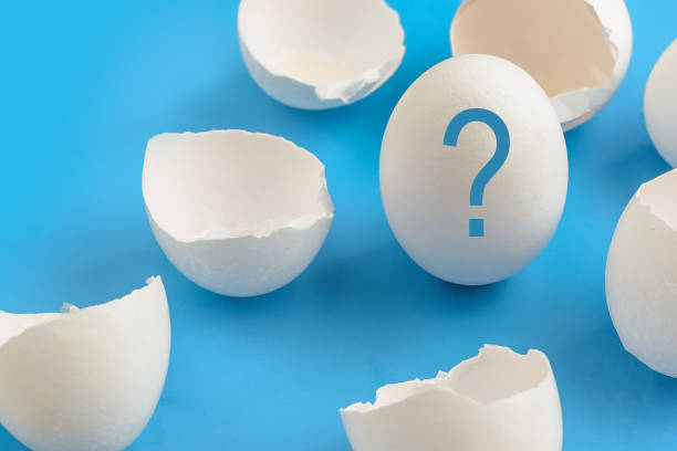 istock A whole chicken egg surrounded by empty eggs, a concept of infertility 941548594