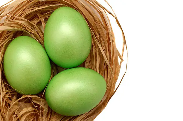 Photo of Overhead view of a nest with three green eggs