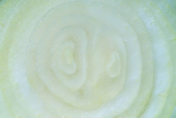 white onion cut in half close-up photo