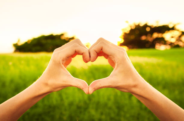 istock Hand shaped heart against sunset 941562758