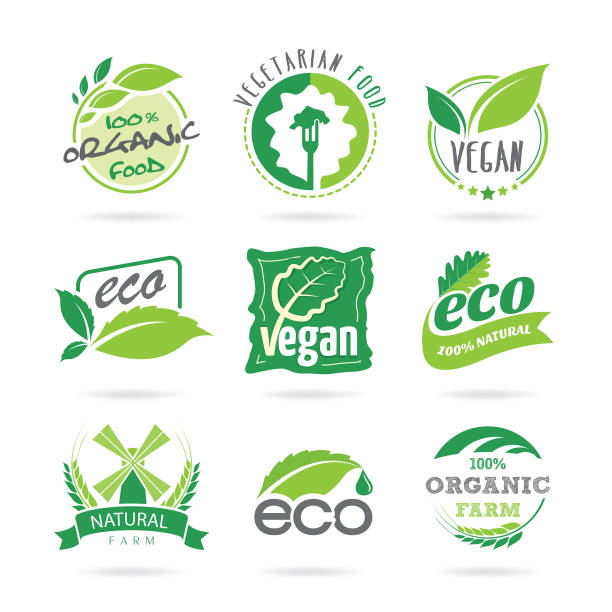 Ecologia &amp; vegan, vegetariana conjunto de ícones - ilustração de arte em vetor