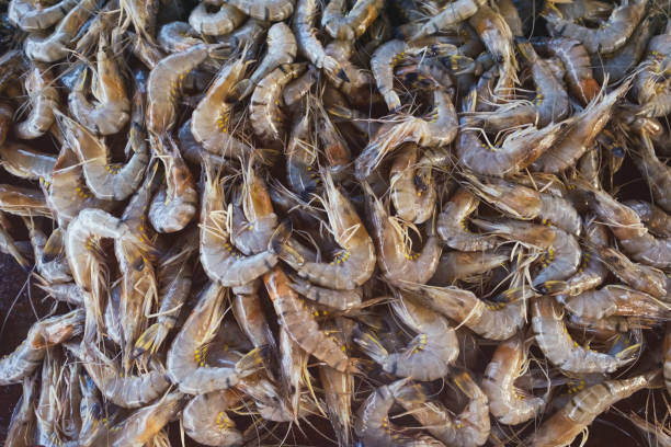 istock Close up fresh prawn, fresh shrimp seafood lying on table. 941570028
