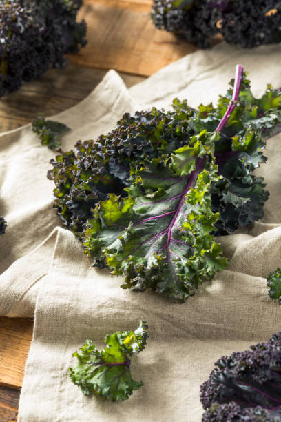 istock Organic Healthy Red Kale 941585330