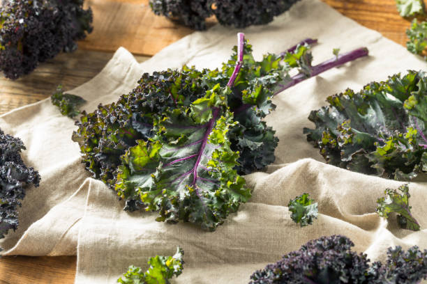 istock Organic Healthy Red Kale 941585386