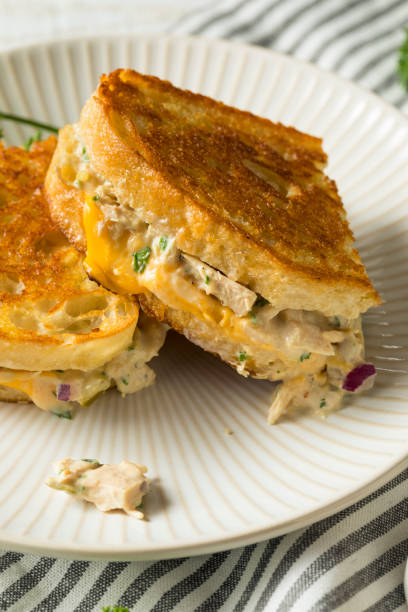 istock Homemade Toasted Tuna Melt Sandwich 941585418