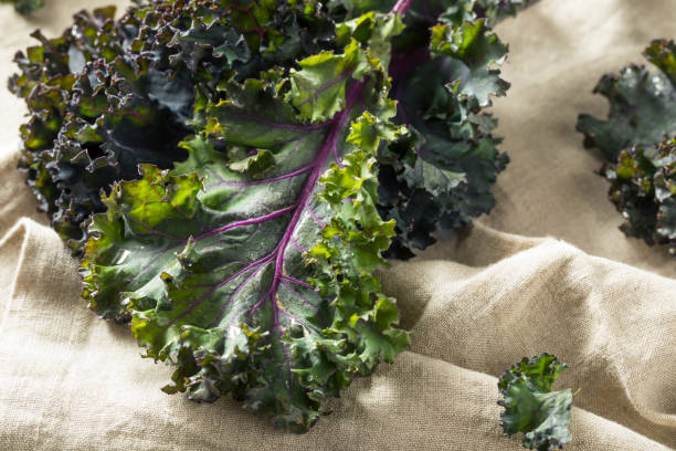 istock Organic Healthy Red Kale 941587462