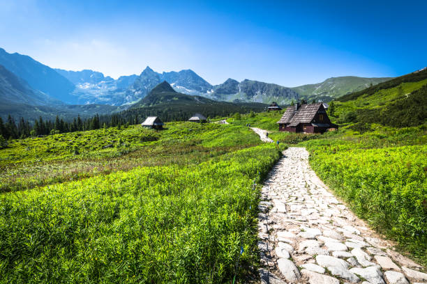 Hala Gasienicowa(Valey Gasienicowa) in Tatra mountains in Zakopane,Poland Hala Gasienicowa(Valey Gasienicowa) in Tatra mountains in Zakopane,Poland zakopane stock pictures, royalty-free photos & images