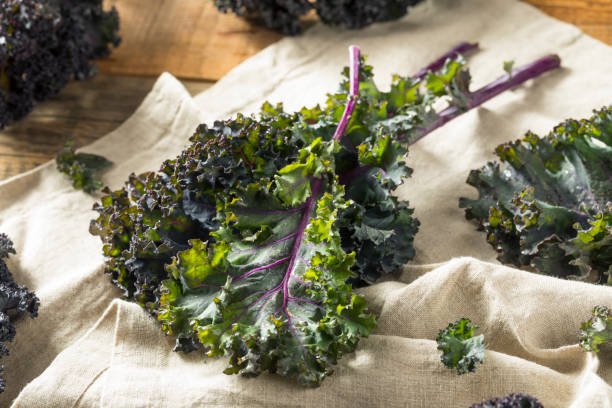 istock Organic Healthy Red Kale 941587524