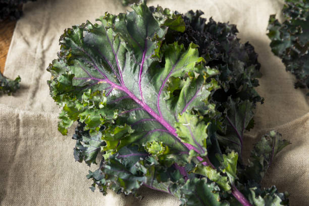 istock Organic Healthy Red Kale 941587562