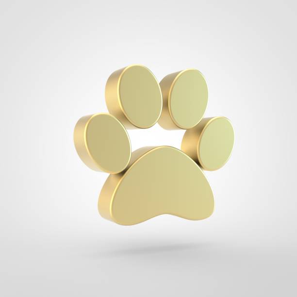 istock Golden paw icon isolated on white background. 941587668