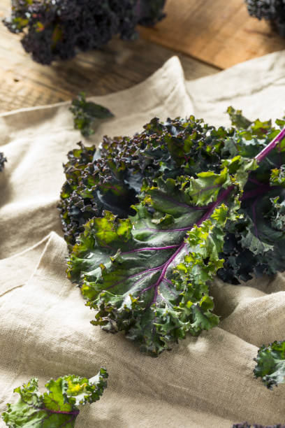 istock Organic Healthy Red Kale 941587736
