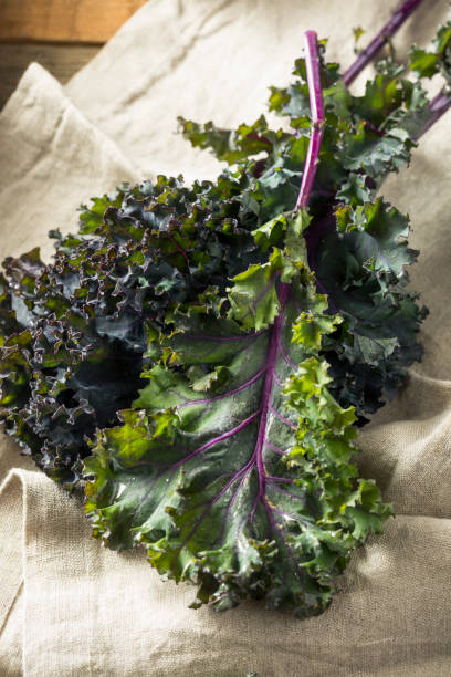 istock Organic Healthy Red Kale 941587974