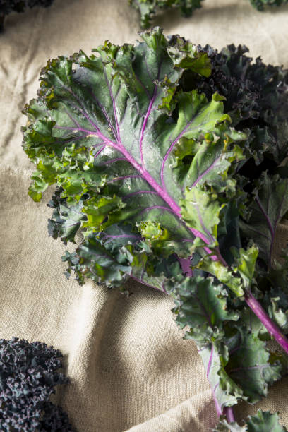 istock Organic Healthy Red Kale 941588066