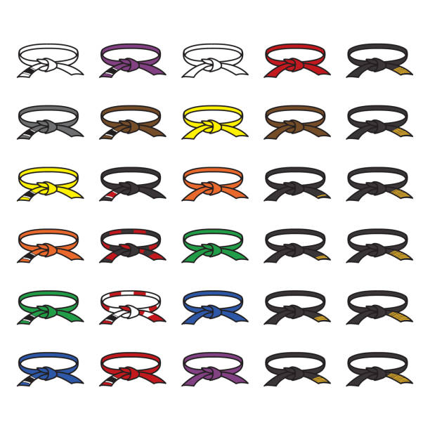 Martial arts belts icon set.Karate, judo, brazilian jiu jitsu and others. Vector. Martial arts belts icon set.Karate, judo, brazilian jiu jitsu and others. Vector. eps10. yellow belt stock illustrations