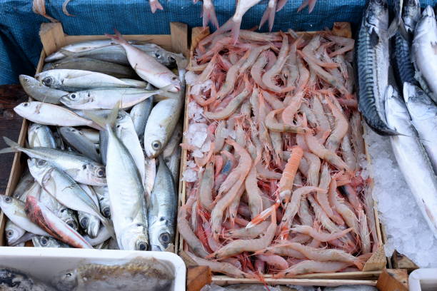 istock Fish market, mixed exposure of fish 941596522