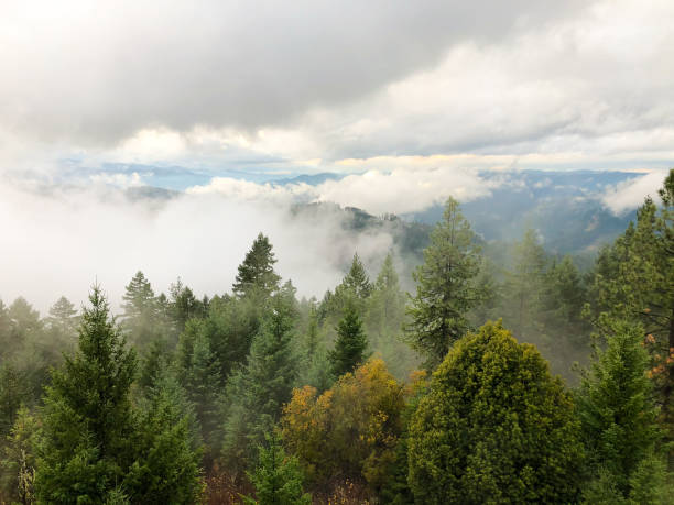 istock Umpqua National Forest Oregon 941602292
