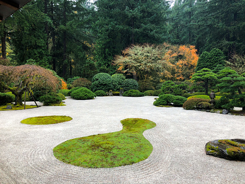 These gardens are typically inspired by traditional Japanese culture and aesthetics, which emphasize the beauty of simplicity, asymmetry, and the natural world.\n\nOne of the defining features of a Japanese garden is the use of rocks and water to create a sense of balance and harmony. Large rocks and boulders are often strategically placed throughout the garden to represent mountains or islands, while ponds or streams are incorporated to represent the ocean or a river.\n\nPlants are also an important element of Japanese gardens, and are carefully chosen and arranged to complement the natural landscape. Traditional Japanese plants such as cherry blossom trees, Japanese maples, bamboo, and moss are often featured, along with carefully pruned trees and shrubs that create a sense of order and symmetry.\n\nBridges, stepping stones, and lanterns are also common features in Japanese gardens, adding to the overall sense of balance and tranquility. These elements are often placed in specific locations to create a sense of movement and encourage visitors to explore the garden and experience its beauty from different perspectives.\n\nIn summary, a Japanese garden landscape is a carefully crafted and harmonious space that combines natural elements with traditional Japanese design principles to create a serene and tranquil environment that is both beautiful and calming.