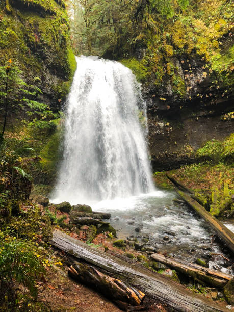istock Spirit Falls Unpqua National Forest Oregon 941608478