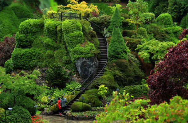 Butchart Gardens in the rainy day. Beautiful gardens on Vancouver Island, world-famous masterpiece of landscape architecture. victoria canada stock pictures, royalty-free photos & images