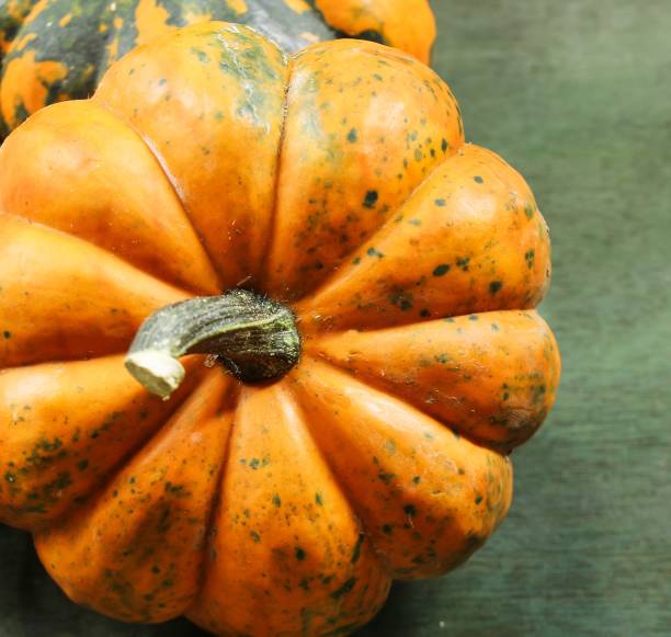 istock Different colors of Mini Pumpkins / Fall autumn background 941615780