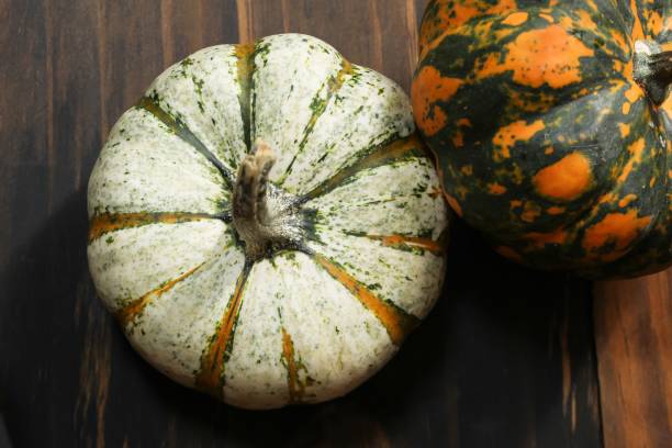 istock Different colors of Mini Pumpkins / Fall autumn background 941616234