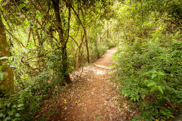 istock Cania Gorge Track Queensland Australia 941621508