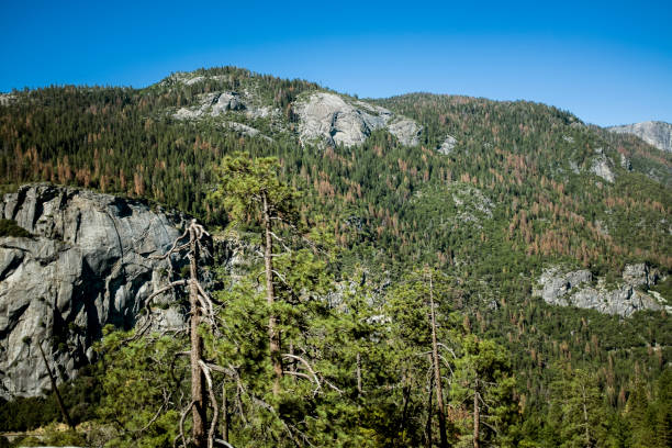istock View of Yosemite 941624064