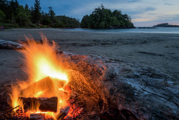 istock Fire on the beach behind large log at sunset 941632442