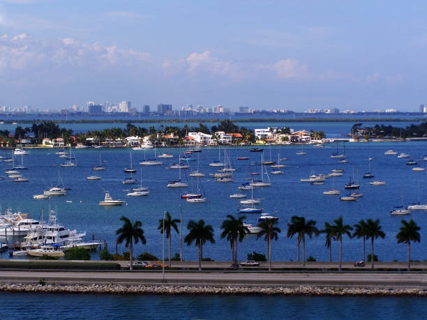 istock View of a marina in Miami with blue sky 941632620