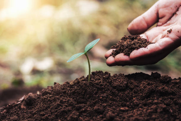 istock hand planting green seedling growing in soil. concept eco 941635628
