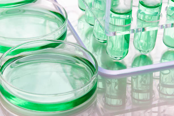 istock Petri Dish and Test Tubes 941645728