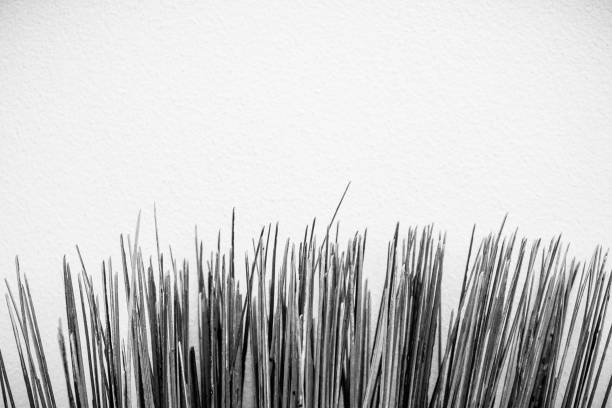 istock Nature made bristles of a broomstick. 941645732