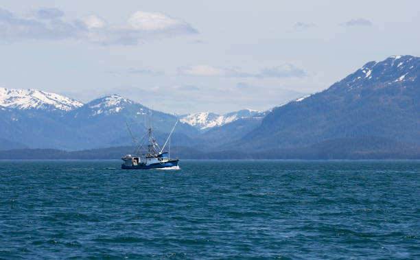 Commercial fishing boat in Southeast Alaska Salmon fishing boat in Lynn Canal in Southeast Alaska with mountains in the background. juneau stock pictures, royalty-free photos & images