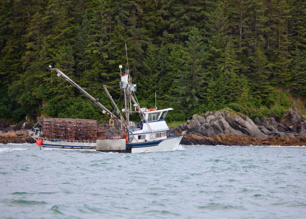 łódź rybacka kraba z pustymi doniczkami krabów w południowo-wschodniej alasce - lynn canal zdjęcia i obrazy z banku zdjęć