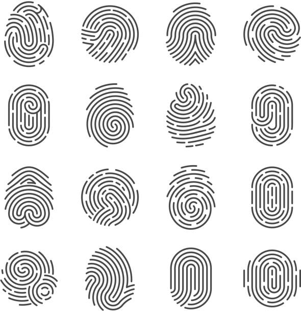 ilustraciones, imágenes clip art, dibujos animados e iconos de stock de detallada de los iconos de la huella digital. policía escáner pulgar vector los símbolos. pictogramas de identificación de identidad persona seguridad - fingerprint identity id card biometrics
