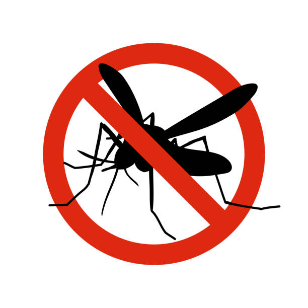 Mosquito warning prohibited sign. Anti mosquitoes, insect control vector symbol vector art illustration