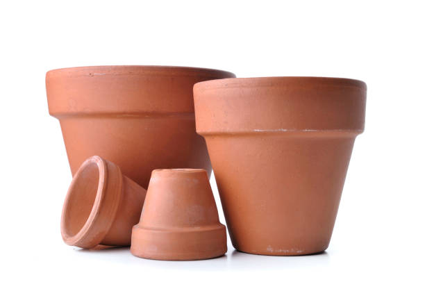 istock little and big  terra cotta pots 941668966