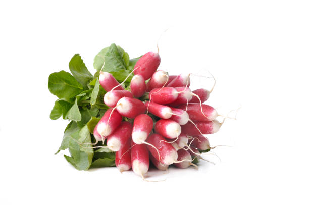 bunch of radishes isolated bunch of radishes isolated on white background radish stock pictures, royalty-free photos & images