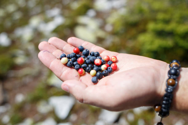 istock Handful of blueberries against mountains in summer 941669598