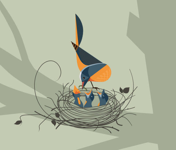 птица кормит птенцов в гнезде - loving bird love birds nest stock illustrations