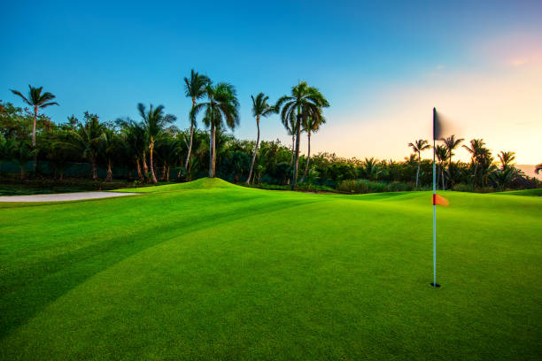 поле для гольфа на тропическом острове - golf golf flag sunset flag стоковые фото и изображения