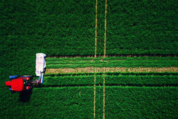 istock Tractor mowing green field, aerial drone view 941681364
