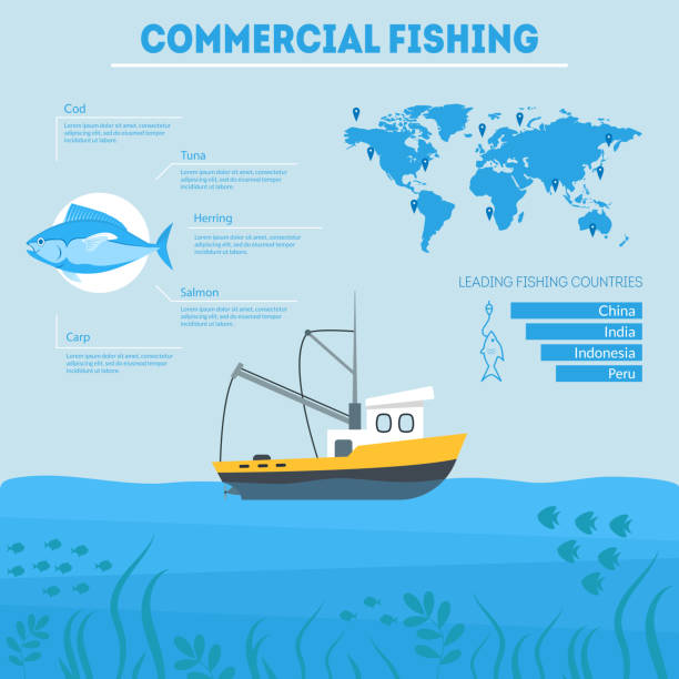 Cartoon Commercial Fishing Infographic Card Poster. Vector Cartoon Commercial Fishing Industry Infographic Card Poster Concept Element Flat Design Style. Vector illustration of Vessel in Sea fish trawler stock illustrations